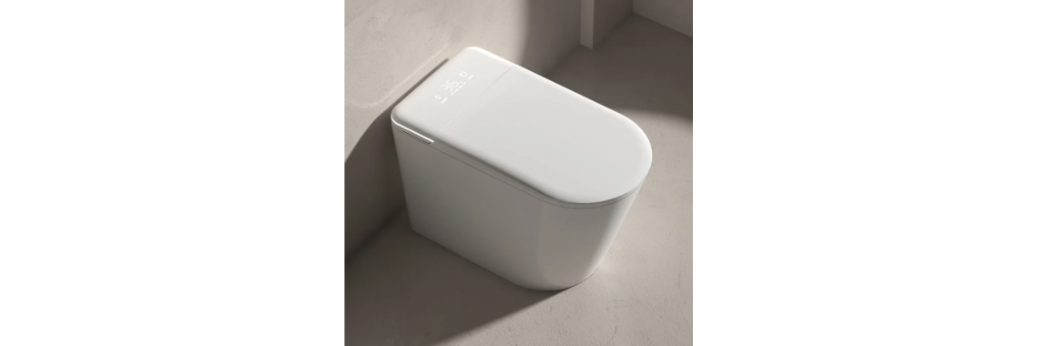 Smart Toilet